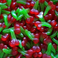 Cerises lisses Dulceplus